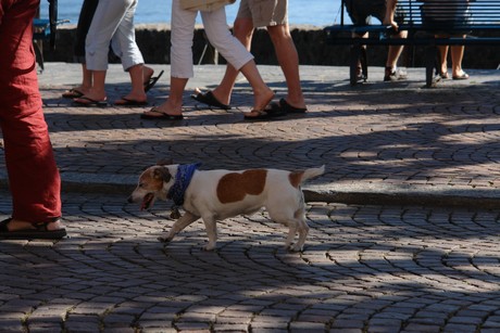 ascona-leute