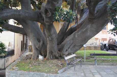 Bordighera