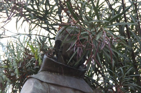 Bordighera