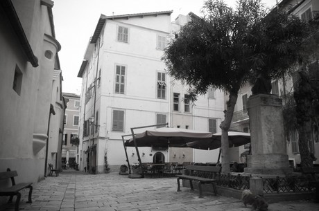 Bordighera