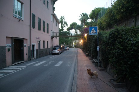 Bordighera