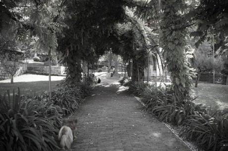 Bordighera