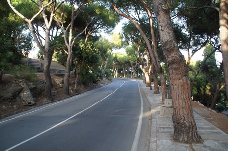 Bordighera
