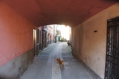 Brugnato