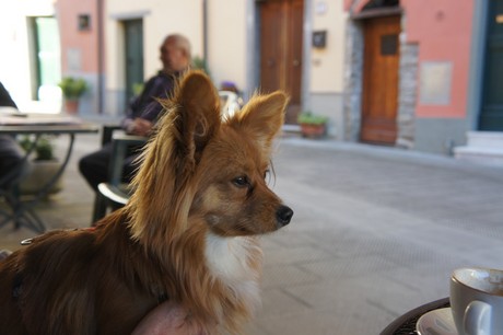 Brugnato