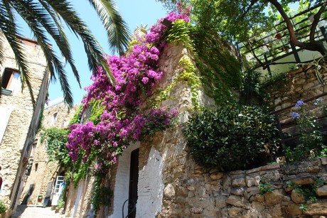 bussana-vecchia