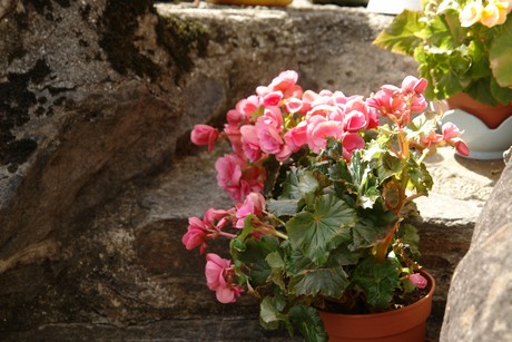 cannero-riviera-kirche