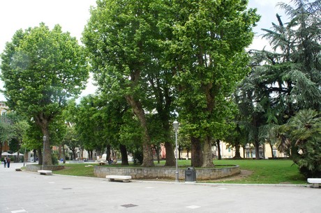 carrara