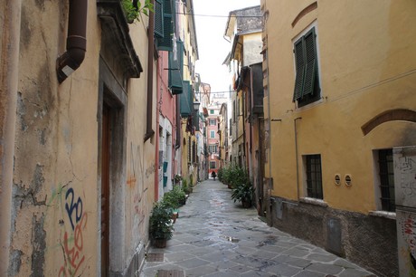 carrara