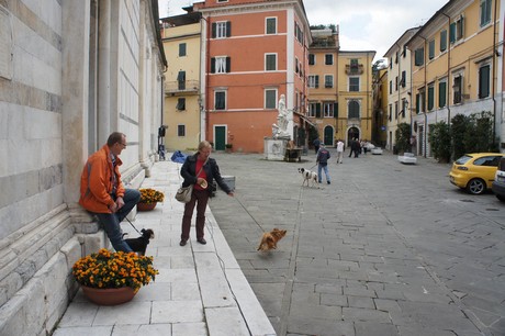 carrara