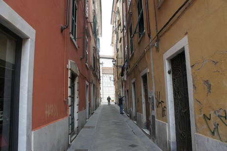 carrara