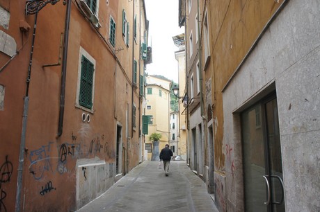 carrara