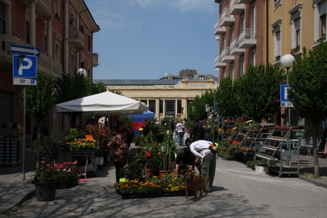 blumenmarkt