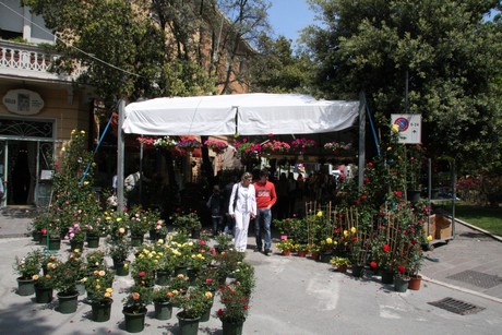 blumenmarkt