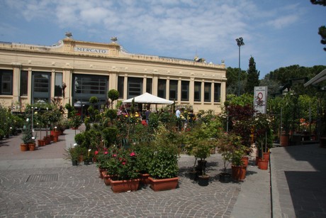 blumenmarkt