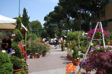 blumenmarkt