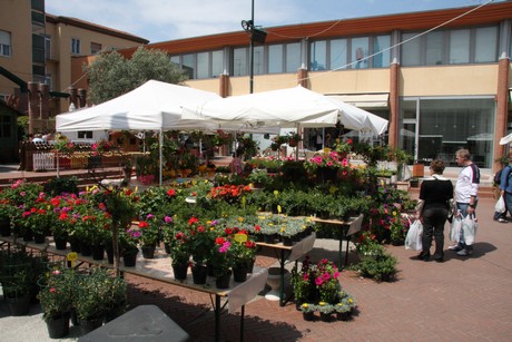 blumenmarkt