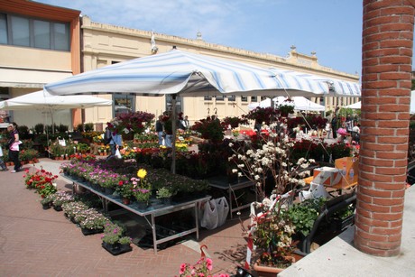 blumenmarkt