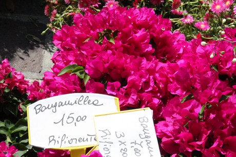 blumenmarkt