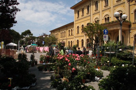 blumenmarkt