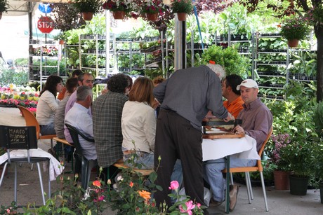 blumenmarkt