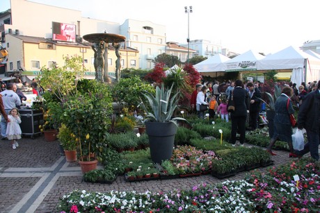 blumenmarkt