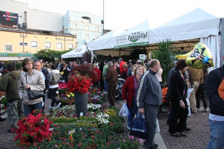 blumenmarkt