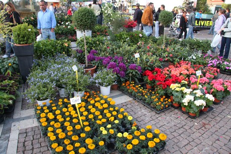 blumenmarkt