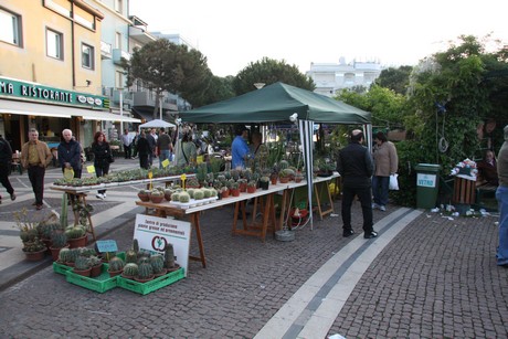 blumenmarkt