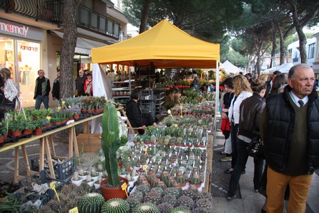 blumenmarkt