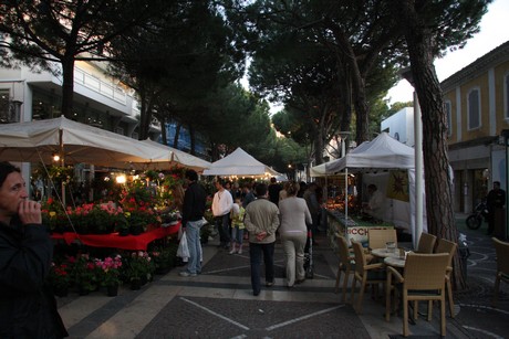 blumenmarkt