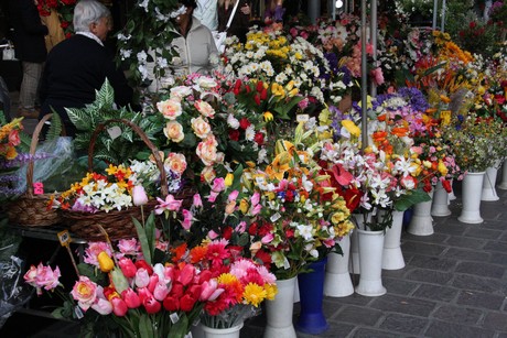 blumenmarkt