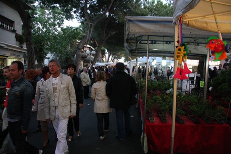 blumenmarkt