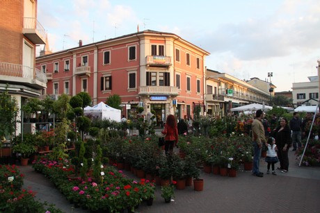 blumenmarkt