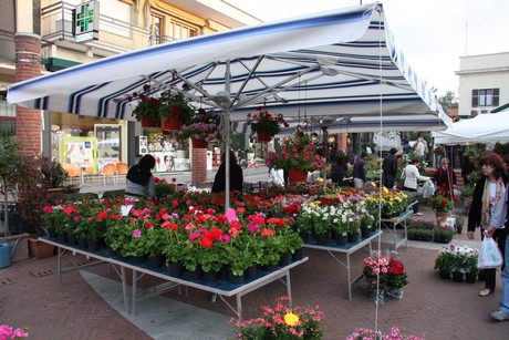 blumenmarkt