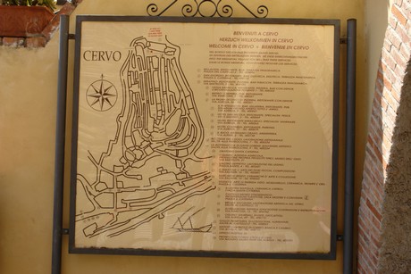 cervo