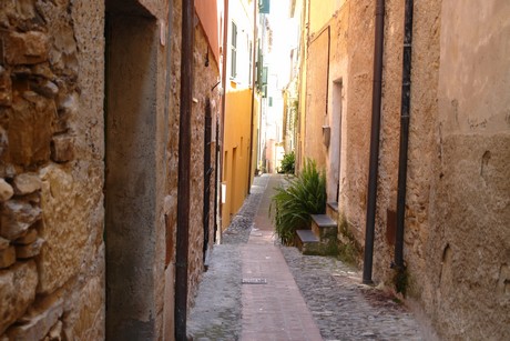 cervo