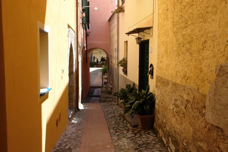 cervo