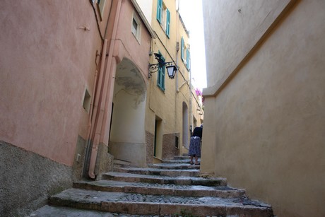 cervo