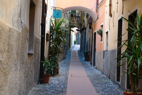 cervo