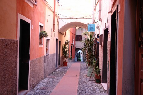 cervo