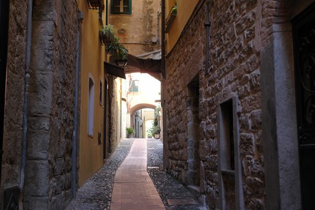 cervo