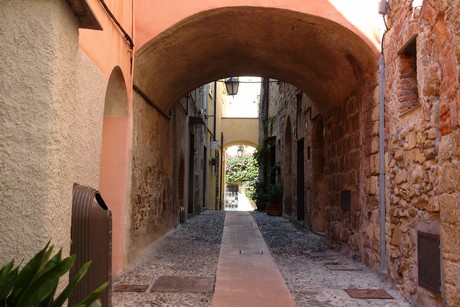 cervo