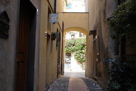 cervo