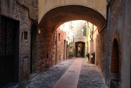 cervo