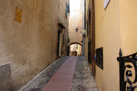 cervo