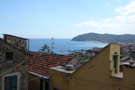 cervo
