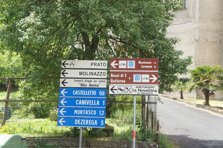 cicagna