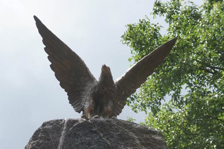cicagna