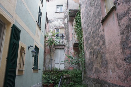 cicagna